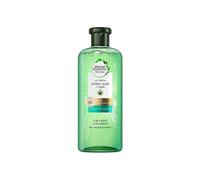 Bio:Renew Extra Aloe Y Hemp Shampooing 380ml