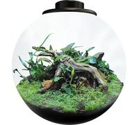 BioArt Bowl 225, Jardin LED Nano, Verre Haute Qualité, 5.1L, avec Éclairage LED 5W Réglable, Minuterie et Ventilateur, 225 x 220 mm (Noir)