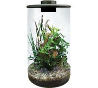 BioArt Cylindre 285, Jardin LED Nano, Blanc, Verre Haute Qualité, 4L, avec Éclairage LED 5W Réglable, Minuterie et Ventilateur, 285 x 150 mm (Noir)