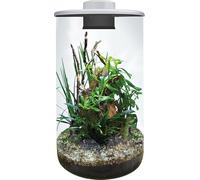 BioArt Cylindre 285, Jardin LED Nano, Blanc, Verre Haute Qualité, 4L, avec Éclairage LED 5W Réglable, Minuterie et Ventilateur, 285 x 150 mm (Blanc)