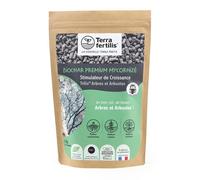 Biochar mycorhizé fertilisant arbres