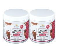 Biocyte Collagen Max Poudre 2x260 g