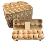 Biodegradable Egg Carton 12 Count Shockproof Pulp