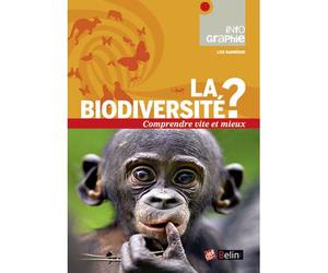 Biodiversité ? Comprendre vite et mieux - Lise Barnéoud - Belin - broché - Essai