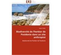 Biodiversité de l'herbier de Posidonie dans un site anthropisé Chebbi, Nadia (Auteur)