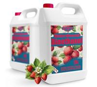 Bioéthanol 96,6 % 10 l | Alcool bio parfum fraise des bois 96,6 % 2 x 5 l | Bioéthanol pour cheminée, cheminée de table | Bioéthanol Parfum fraise des bois | Combustion propre, sans fumée, flamme vive