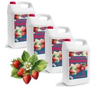 Bioéthanol 96,6 % 20 l | Alcool bio parfum fraise des bois 96,6 % 4 x 5 l | Bioéthanol pour cheminée, cheminée de table | Bioéthanol Parfum fraise des bois | Combustion propre, sans fumée, flamme vive