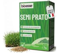 BIOEXXE Semences Gazon à Semer Résistant Ray-Grass Anglais 40 m² - Festuca Arundinacea Graines Pelouse Rustique Croissance Rapide - Semence Gazon Sport et Régarnissage