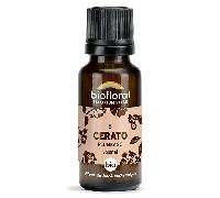 Biofloral 05 Cerato Plumbago Granules Bio Fleur De Bach Granules 19,5 Gr