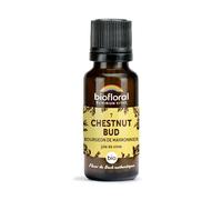 Biofloral 07 Chestnut Bud Bourgeons Marronnier Bio Fleur De Bach 19,5 Gr