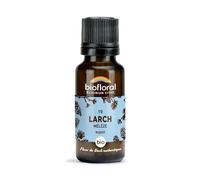 Biofloral 19 Larch Mélèze Fleur De Bach Granules Bio 19,5g