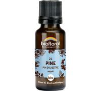 BIOFLORAL - 24 Pine, Pin Sylvestre BIO - Espoir - Fleur de Bach Authentique - 470 Granules - Sans Alcool