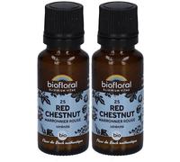 BIOFLORAL 25 Red Chestnut - Maronnier Rouge Granulés 2x19 g