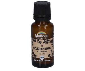 BIOFLORAL 28 Scleranthus - Scléranthe Granulés 19 g