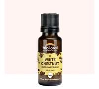 Biofloral - 35 white chestnut, marronnier blanc - bio