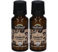 BIOFLORAL Cerato - Plumbago Bio Granulés 2x19,5 g
