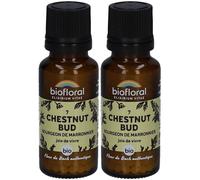 BIOFLORAL Chestnut Bud - Bourgeon de Marronnier Bio Granulés 2x19,5 g