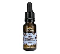 BIOFLORAL 25 - Red chestnut Marronier rouge 20 ml Goutte(S)