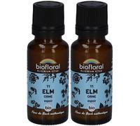 BIOFLORAL Elm - Orme Bio Granulés 2x19,5 g