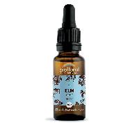 Biofloral Elm 11 Fleur de Bach Elixir Floral du docteur Bach Orme en Compte-Gouttes Courage et Espoir 20 ml