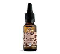 Biofloral Fleur de Bach Cerato Plumbago Bio 20 ml | Aide à faire confiance à ses propres idées et à gagner en indépendance. Certifiée Demeter et Bio. Sans alcool.