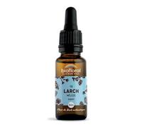 Biofloral Fleur de Bach Larch Mélèze Bio 20 ml | Redonne courage et sérénité face aux défis quotidiens. Certifiée Demeter et Bio. Sans alcool.
