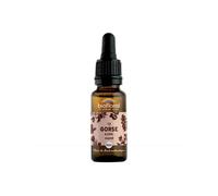 Biofloral Fleur de Bach n°13 Gorse Ajonc Bio 20ml