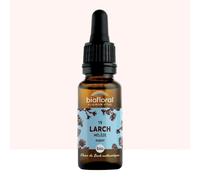 Biofloral - fleur de bach n°19 larch, mélèze - bio demeter