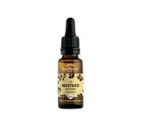 Biofloral Fleur de Bach Moutarde n°21 – Bio Demeter – Compte‑gouttes 20 ml
