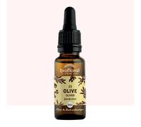 Biofloral - fleur de bach n°23 olive, olivier - bio demeter
