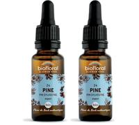 Biofloral Pine 24 Fleur de Bach Elixir Floral du docteur Bach Pin Sylvestre en Compte-Gouttes Courage et Espoir 20 ml (Lot de 2)