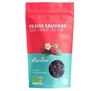 BIOFRUISEC - Fraises des bois sauvages d'Europe séchées 100g - Vente à l'unité - meilleure offre