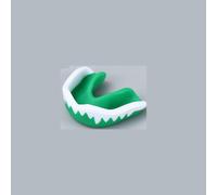 Biographical Notice Of Nicolo Paganini, With An Analysis Of His Compositions, And A Sketch Of The History Of The Violin