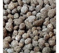 Biohome Biogravelest Un Nouveau Support filtrant pour Filtre d'aquarium ; matériau filtrant également adapté aux Conditions étroites - Bio.Biogravel.1 kg