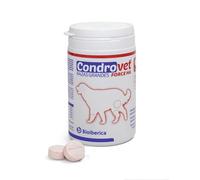BIOIBERICA CONDROVET Force HA Grandes Races 80CPD, 3600 W, 1 litre, 44 décibels, plastique, non applicable