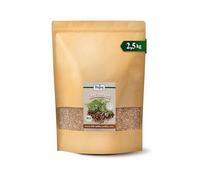 Biojoy Sarrasin BIO, cru, entier, non traité, 2,5 kg | De Chine, non grillé, avec enveloppe, non sucré, idéal à germer, pâtisser ou cuisiner, Fagopyrum L.