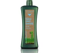 Biokera Shampooing Miel Soin Du Cuir Chevelu 1 000 Ml[Z4083]