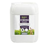 Bioky® Decoction de Prêle Fongicide 20L - Préventif et curatif pour les plantes - Très concentré 30ml/L - Biostimulant pour plantes d'intérieur et potager urbain - Mildiou et Oïdium