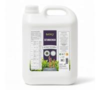 Bioky® Decoction de Prêle Fongicide 5L - Préventif et curatif pour les plantes - Très concentré 30ml/L - Biostimulant pour plantes d'intérieur et potager urbain - Mildiou et Oïdium