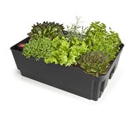 Biolan Pot de plantes avec système d'irrigation de terre et indicateur de niveau d'eau 36 x 57 x 20 cm Biolan Pot de plantes avec système d'irrigation de terre et indicateur de niveau d'eau 36 x 57 x