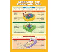 Biology Reference Poster: Key Differences Between Eukaryotic & Prokaryotic Cells - Essential for AP Biology, Honors Science Classrooms(Framed,08x12inch(20x30cm))