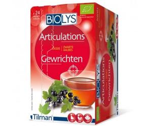 Biolys Cassis Sachet(S) Filtre(S) 24 pc(s)