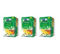 BIOLYS Gingembre - Citron Sachet(S) Filtre(S) 3x24 pc(s)