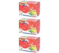 BIOLYS Ortie Sachet(S) Filtre(S) 3x24 pc(s)