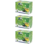 Biolys Thé Vert Sachet(S) Filtre(S) 3x24 pc(s)