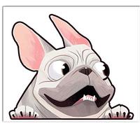 Biomar Labs® 1 x PVC Auto-Adhésif Vinyle Autocollant Chien Bouledogue Français French Bulldog Dog Stickers Auto Moto Voiture Fenêtre Porte B 226