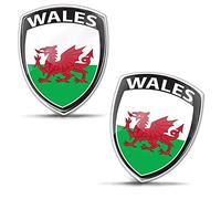 Biomar Labs® 2 x 3D Flexibles Autocollant Badge Stickers Drapeau du Pays de Galles avec Dragon Gallois Royaume-Uni Wales UK Emblème Voiture Auto Moto F 114