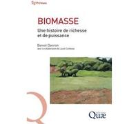 Biomasse Benoît Daviron (Auteur), Laure Cordesse (Auteur)