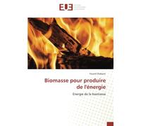 Biomasse pour produire de l'énergie: Energie de la biomasse