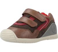 Biomecanics 231126b Couleur Marron